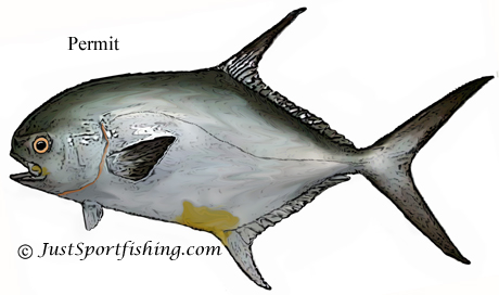 Permit illustration