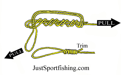 End loop Knot