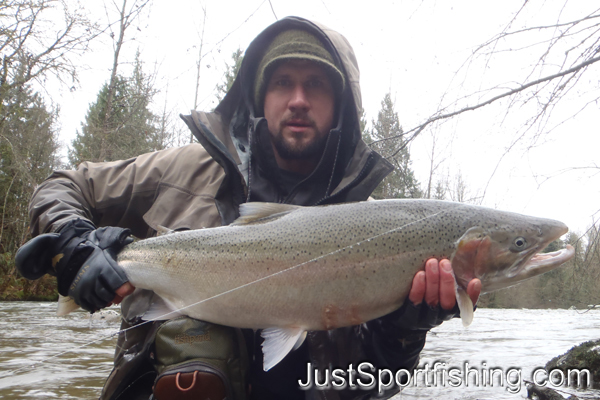 steelhead trout photo