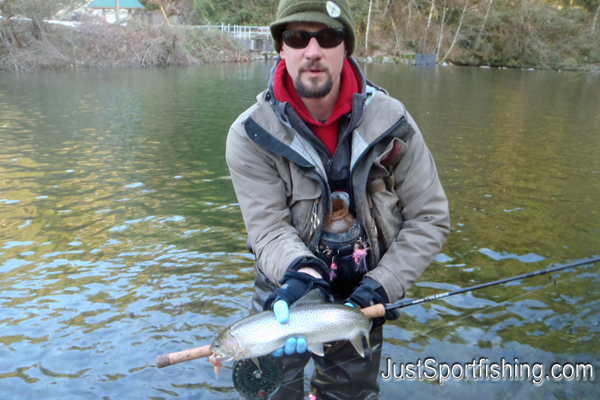 Photo of a steelhead trout