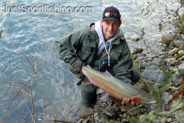 Photo of a steelhead trout