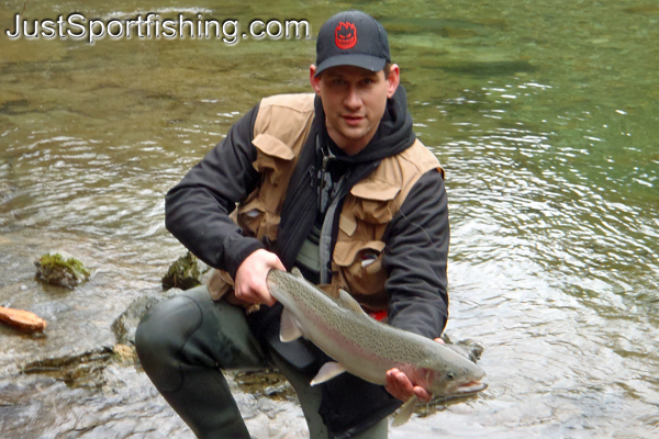 Photo of a steelhead trout.