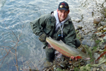 steelhead trout photo