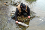 fisherman with steelhead trout photo