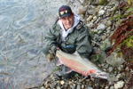 steelhead trout photo