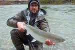 steelhead trout photo