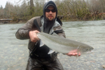 steelhead trout photo